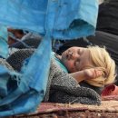 숲 in the grove 이미지