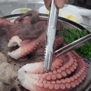 문어조개명가