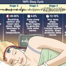 꿀잠이 인생을 바꾼다! 건강한 수면 습관 만드는 방법 이미지