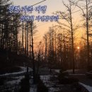 매화농업협동조합 | [경기 양평] 양평 설매재 자연휴양림 금강송 가족여행 자연휴양림 숲나들e