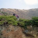 [제228차:73/100]오서산(충남) 산행 공지 이미지