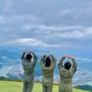 단양패러글라이딩 이미지