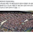[야구] 창원야호~! (창원NC파크 롯데전 208구역 2열 후기)