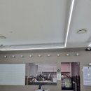 리츠펫 동탄능동점 | 동탄 센트럴파크 애견카페 리츠펫 다녀온 후기