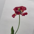 [주말]보테니컬 아트 이미지