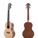 우쿨렐레 이미지