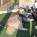 서서울호수동물병원 | [서울 산책] 도심 속 힐링 스팟, 서서울호수공원 나들이 후기 🌿