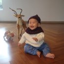 제주 이리스 이미지