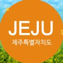 주정차단속-109 이미지