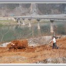 김삿갓면-4 이미지