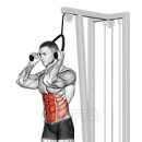 1퍼센트짐 이미지