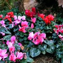 성호공원_성호기념관주변 이미지