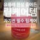 저스트립 | 💋라네즈 립 슬리핑 마스크 EX 후기｜입술 건조·각질·요플레 현상 개선 #내돈내산