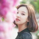 S.H. 이미지