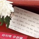 국화 - 제주시 | 국화