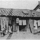 백은천냥시대 이미지