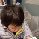 진하인터내셔널
