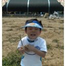 만석군농장 이미지