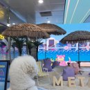 광안동물병원 | 강아지와 함께 부산 광안역 메타몽 펫 스테이션 방문 후기