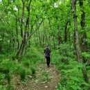 송사1리 송사교 입구(송사삼거리) | 일월산