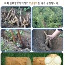 늘해랑농원 이미지