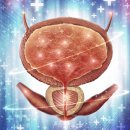 자이비뇨의학과병원 이미지