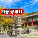 북천 레일바이크 역사 | 가을 국내 여행 추천 하동 쌍계사 단풍 구경 입장료 주차장