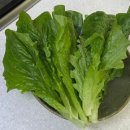 용산식품
