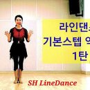 라인댄스B 이미지