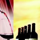 실속있는 와인 VS 프랑스 보르도 5대 샤또 와인 이미지