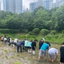 안곡초등학교 이미지