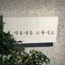 사평대로53길 30 | 강남 승무원 사진 잘찍는 곳 [미루나무 스튜디오] _ 외항사 전신사진 촬영 후기