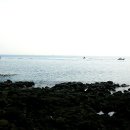 제주도 서부·차귀도·비양도