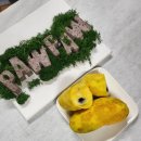 포포나무 민박 이미지