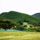 초원의 언덕 이미지