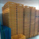 하나익스프레스 이미지