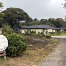 휴퐁낭스테이 | 제주 구좌 송당 숙소 추천, &#39;휴퐁낭스테이&#39; 솔직후기