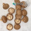 표고