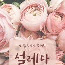 네일설레다 이미지