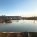 개미낚시터 이미지