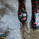 프로젝트 파이브 이미지