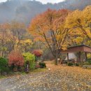 알프스밸리캠핑나라 이미지