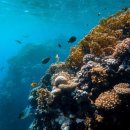 뉴-섬 게스트하우스 이미지