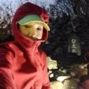 엄광산 가야약수터 위 임도 | 낙동정맥19구간[ 지경고개 ＞개금고개. 26Km]23년12월9일