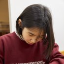 바늘과실뭉치