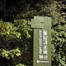 돌담과 초록 이미지