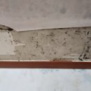 회원동149 이미지