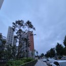 계족로663번길 이미지