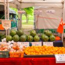 싱싱한마켓 이미지