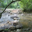 징검다리 이미지